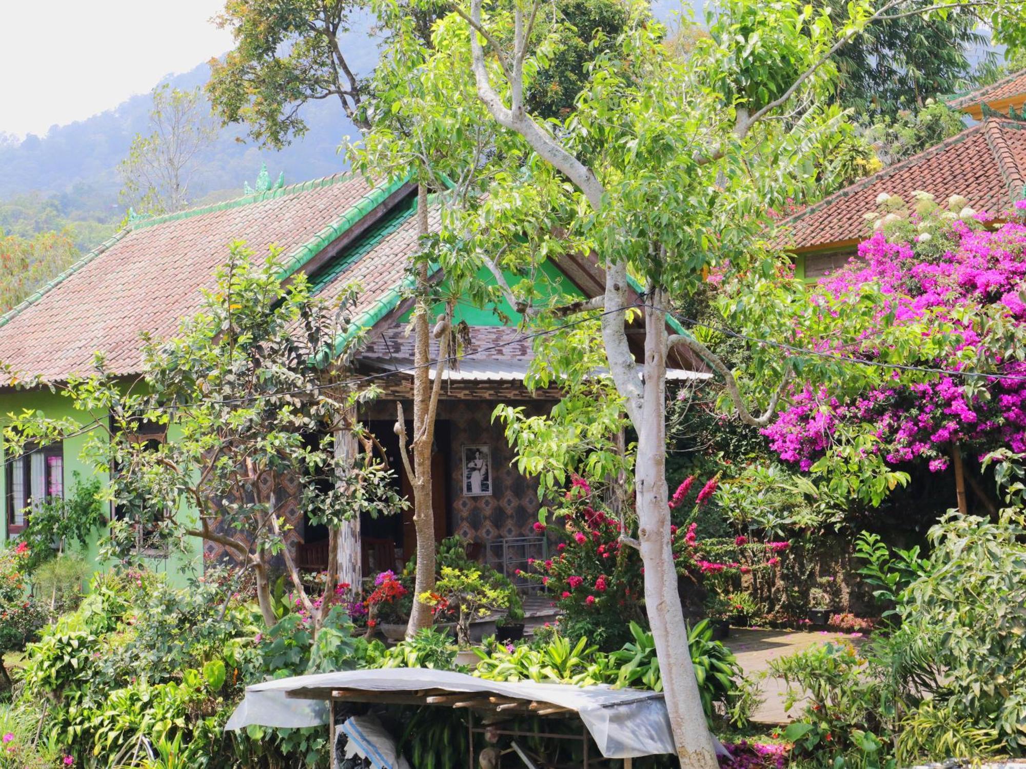 Dajan Buyan Homestay Bedugul  Exterior foto